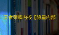 王者荣耀内核【隐星内部】辅助