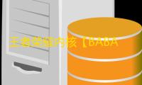 王者荣耀内核【BABA】辅助